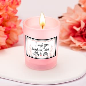 Best Friend Birthday Gifts for Women Friendship Gifts for Women Bestfriend Birthday Gift for Best Friend Woman Bestfriend Gift Ideas with Cup Bag Candle Keychain for Soul Sister Bestie BFF
