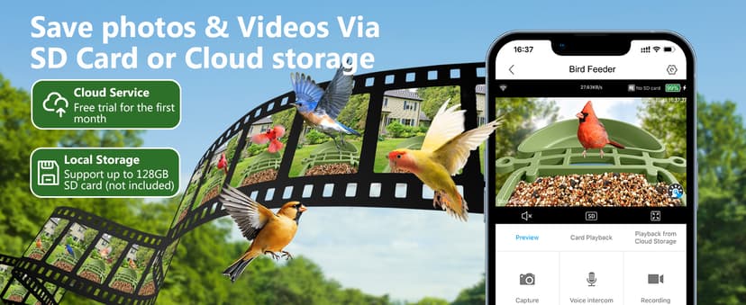 Smart Bird Feeder with Camera Solar Powered, AI Birds Species Identification, 2.5K HD Video Bird House with Camera for Outside, Weatherproof Design Ideal Gifts for Christmas, Bird Lovers, Green