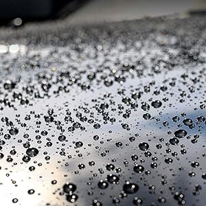 Turtle Wax Hybrid Solutions Ceramic Graphene Paste Wax for Car Detailing, High Gloss Shine, Extreme Water Beading, Long-Lasting Protection, for Paint, Glass Metal, Wheels and More, 5.5 oz (Pack of 1)