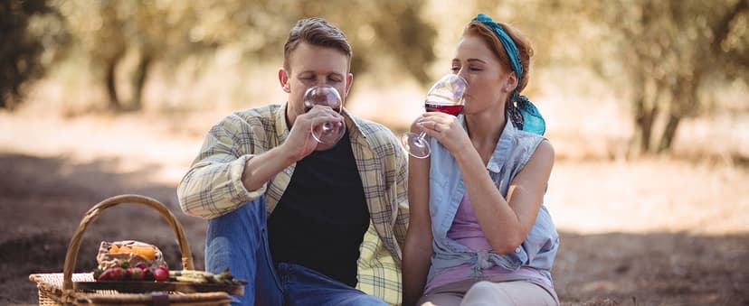 Rechargeable Electric Wine Gift Set - Aerator, Vacuum Stoppers, Foil Cutter and Bottle Opener for Home Bar and Outdoor Parties