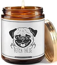 Best Dog Mom Funny Scented Candle - Dog Mom Gifts for Women for Birthday Christmas Mothers Day Thanksgiving - Birthday Gift from Dogs, Fur Mama Gift Ideas, Animal Decor - Pet Lovers Candle
