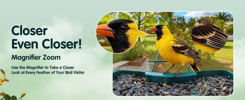 4K Ultra HD Video with Live View,10x Slow Motion,AI Smart Bird Feeder with Camera,2.4G/5G Wi-Fi,Durable Metal,Bird Lover Gift 4K Smart Bird Feeder with Camera,No Subscription,Solar Powered B0FMDP272Y