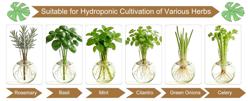 Unique Gardening Birthday Gifts for Women Plants Lovers, Home Office Garden Decor Planter - 3 Bulb Glass Vases Renmxj Plant Propagation Station, Plant Terrarium with Wooden Stand B096VDR4TM