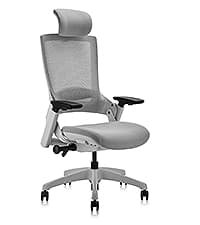 CLATINA Ergonomic High Swivel Executive Chair with Adjustable Height Head 3D Arm Rest Lumbar Support and Upholstered Back for Home Office Gray Mesh/High Back