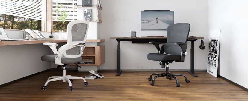 TRALT Ergonomic Office Chair - Comfy Desk Chair with Back Support, Home Office Desk Chairs, Computer Chair, 330lbs Wide Seat Big and Tall Office Chair for Executives (Grey)