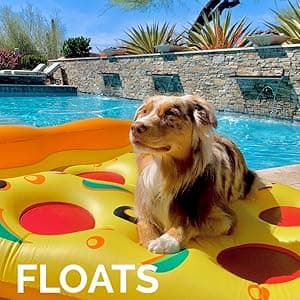 SWIMLINE HYDROTOOLS Manual Vacuum Head Attachment For Inground & Above Ground Pools |Weighted Flexible Swimming Pool Vac Head Rectangle Shape W/ Wheels| Swivel Hose 1-1/4 or 1-1/2’’| Clean 8150