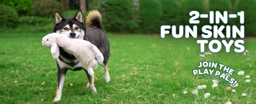 Best Pet Supplies 2-in-1 Stuffless Squeaky Dog Toys with Soft, Durable Fabric for Small, Medium, and Large Pets, No Stuffing for Indoor Play, Supports Active Biting and Play - 1Wild Duck, Small