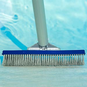 Poolmaster 20178 5-Inch Aluminum-Back Swimming Pool Algae Brush with Stainless Steel Bristles, Classic Collection