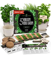 Bonsai Tree Kit - Gifts for Men & Women - Grow 4 Bonsai Trees - Unique Gardening Crafts for Adults, DIY Hobbies for Plant Lovers & Gardeners - Unusual Christmas Gift Ideas for Mom & Dad