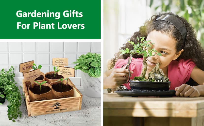 Bonsai Tree Kit – DIY Japanese Bonzai Trees with All-in-One Indoor Plant Growing Tools & Planters – Unique Gardening Gifts for Women, Men & Kids