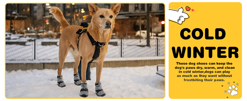 Hcpet Dog Shoes, Dog Boots & Paw Protectors for Winter Snowy Days, Rainy Weather, Outdoor Anti-Slip Sole Dog Booties for Hardwood Floor Black-Leg 1