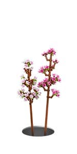 LEGO Roses - Building Toy for Kids, Girls & Boys, Ages 8+ - Artificial, Fake Roses for Home Decor & Display - Gift Idea for Plant & Flower Lovers - 40460