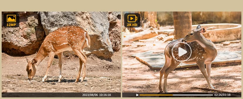 SEHMUA 4G LTE Cellular Trail Cameras 3rd Gen with Live Streaming, Game Camera Built-in SIM Card with Motion Activated 0.2s Trigger Time Solar Trail Camera IP66 Waterproof