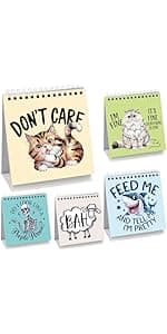 Fancy Land Funny Desk Signs 30 Different Fun and Flip-Over Messages for Office Desk Accessories