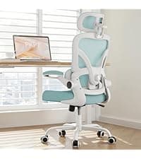Ergonomic Office Chair, 330LBS Desk Chair with 3-Level Lumbar Support & Headrest, Breathable Mesh Backrest, Flip-Up Armrests for Home Office and Gaming, Black