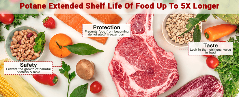 POTANE Precision Vacuum Sealer Machine, Powerful Pro Vacuum Food Sealer, 8-in-1 Easy Presets, 4 Food Modes, Dry&Moist&Soft&Delicate with Starter Kit, Compact Design(Silver)