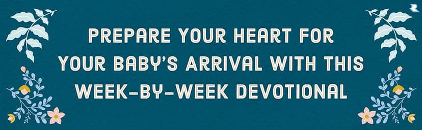 Praying Through Your Pregnancy: A Week-by-Week Devotional for Expecting Moms | Christian Pregnancy Journal | Gift for First-Time Moms 0800746015
