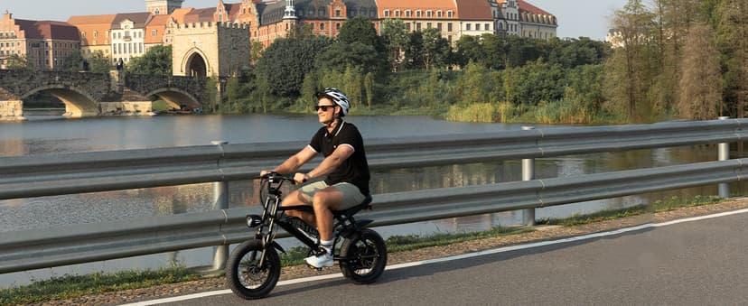 Electric Bike, 16'' Fat Tire E-Bike for Teens/Adults, 500W Small E-Bike with 36V/12.8Ah Removable Battery, Up to 22MPH, 45 Mile Range, Electric Dirt/Mountain Bike for Woman/Men A13