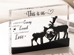 LukieJac Gifts for Wife - Romantic Gifts for Her Acrylic Puzzle Piece Plaque for Wife Birthday, Wedding Anniversary, Valentines Day, Mothers Day Presents Home Desk Decor - 4.7 x 3.9 Inch