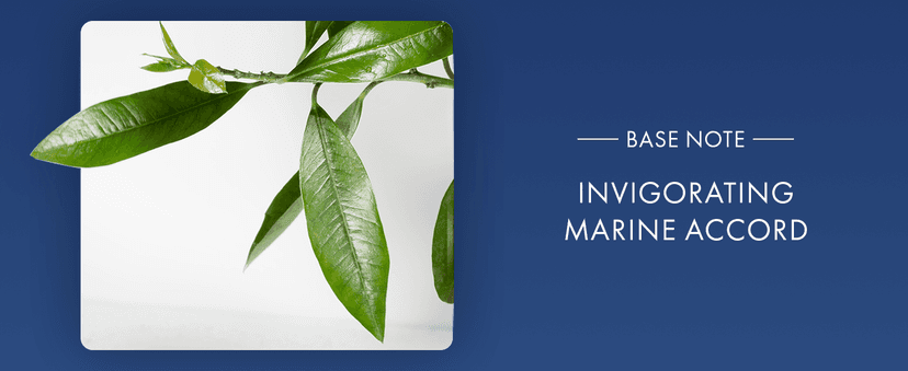 Azzaro Chrome Eau de Toilette - Fresh Aquatic Mens Cologne - Citrus, Woody, Musky Fragrance -Fresh Notes of Bergamot - Everyday Wear - Classic Summer Beach Scent - Luxury Perfumes for Men