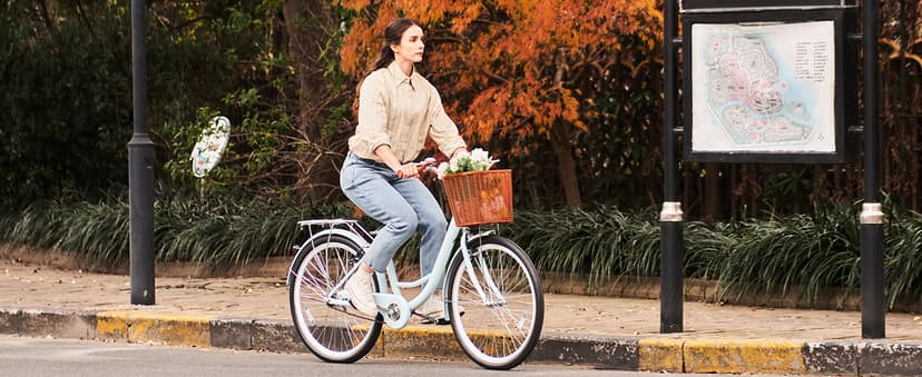 VIRIBUS Beach Cruiser Bike for Women, Single Speed Womens Bike with Basket & Rack 24 26 inch, Retro Step Through Cruiser Bicycle for Petite Short Women Female Ladies City Commuter, 330 lb.