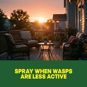 Raid Wasp & Hornet Killer Spray, Kills the Entire Nest, For Paper Wasps, Yellow Jackets, Mud Daubers and more, 14 oz (Pack of 2)
