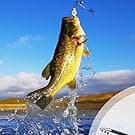 VBQFDPH Mini Fishing Rod and Pocket Fishing Rod & Reel Combo - Collapsible Telescopic Ultra-Compact Foldable Design, 6x5.5x1.62 Inch Portable Outdoor Gear for Travel, Hiking, Backpacking