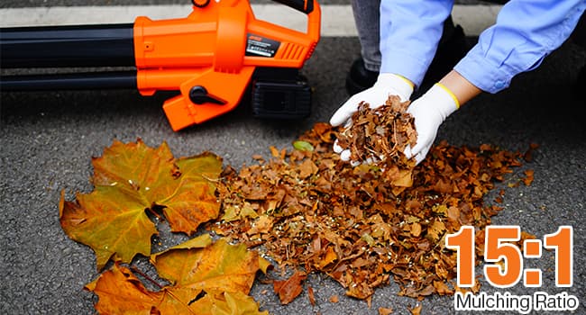 Cordless Leaf Vacuum Blower Mulcher 3 in 1, 2 * 4.0Ah Battery and Charger, Battery Powered Leaf Vacuum with 40L Bag, 160MPH, 600CFM, 4 Speed Modes, Suitable for Lawn Care Yard Cleaning