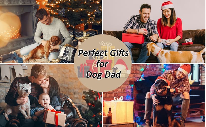 Best Dog Dad Ever Gifts American Flag Leather Animal Lovers Beanie Hat Christmas Stocking Stuffers Birthday Gifts