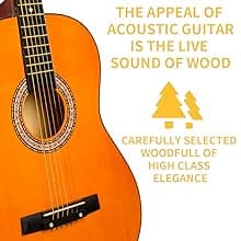 BESYOU Acoustic Guitar 38" Wood Guitar with starter kit-Travel Gig Bag, Tuner,guitar pick with Beginner Set for Kids/Adults -Natural