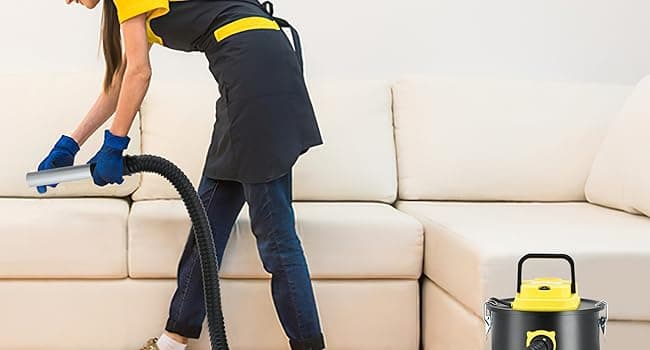 SIPPON Ash Vacuum Cleaner, Pellet Stove Vacuum Cleaner with Blower Function, 800W Powerful Suction 2.6 Gallon All-in-One Ash Vacuum for Fireplaces, Pellet Stoves