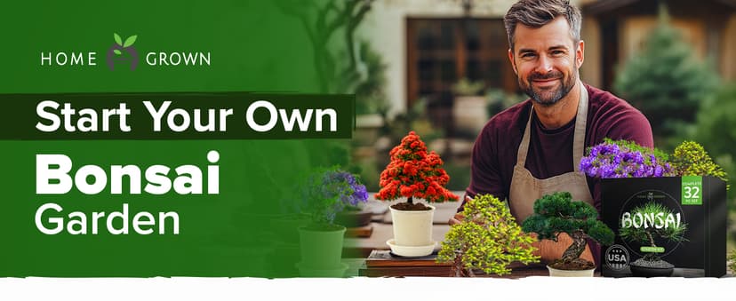 Bonsai Tree Kit - Gifts for Men & Women - Grow 4 Bonsai Trees - Unique Gardening Crafts for Adults, DIY Hobbies for Plant Lovers & Gardeners - Unusual Christmas Gift Ideas for Mom & Dad