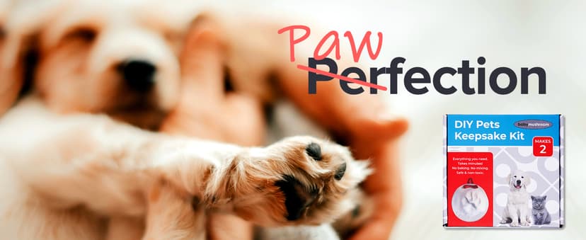 Ultimate Pawprint Keepsake Kit (Makes 2) - Paw Print Christmas Ornament w/ Bonus Personalization Tool & Display Stands! For Dogs, Cats & Pets. Non-toxic. Clay Air-Dries Soft, Light & Uncrackable.