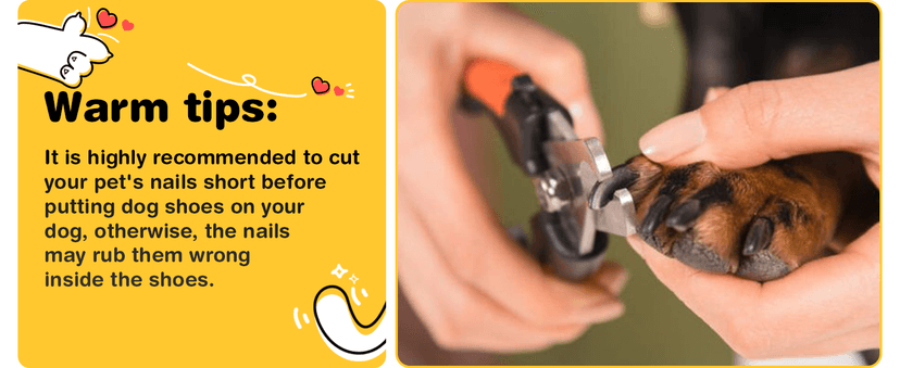 Hcpet Dog Shoes, Dog Boots & Paw Protectors for Winter Snowy Days, Rainy Weather, Outdoor Anti-Slip Sole Dog Booties for Hardwood Floor Black-Leg 1