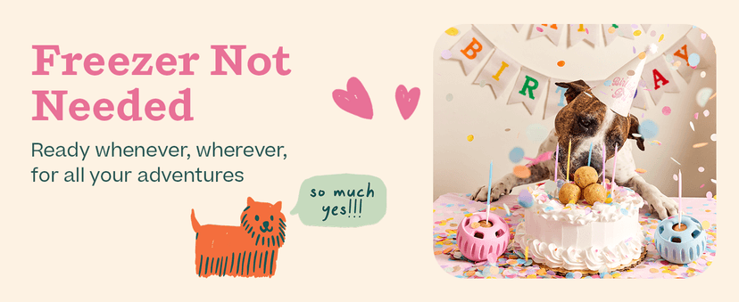 WOOF Pupsicle Birthday Pops - Healthy Dog Treats - Pre-Made Pupsicle Refills - Wholesome Ingredients - Naturally Sweet - Cake-Flavored Birthday Treat for Dogs - XL