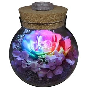 Preserved Real Roses with Colorful Mood Light Wishing Bottle, Eternal Rose,Never Withered Flowers, Table Decor,Christmas Anniversary Valentine's, Blue 4.3inch, 1pcs B07DT2GBT2