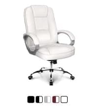 NEO CHAIR Office Desk Chair Gaming Computer High Back Support Mesh Comfy Seat with Adjustable Ergonomic Headrest Lumbar Rolling Flip-up Armrests and Wheels (Beige)
