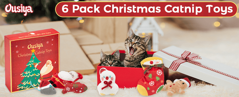 6 PCS Christmas Catnip Toys with Gift Box, Cat Toys Set for Christmas, Interactive Cat Chew Toy for Indoor Cats Kittens Kitty