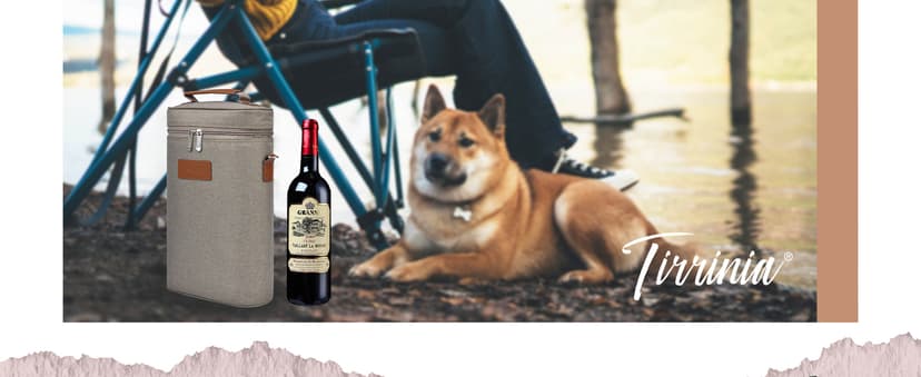 Tirrinia 2 Bottle Wine Gift Tote Carrier - Leakproof & Insulated Padded Versatile Wine Cooler Bag for Travel, BYOB Restaurant, Wine Tasting, Party, Dinner,Gift for Wine Lovers,Grey