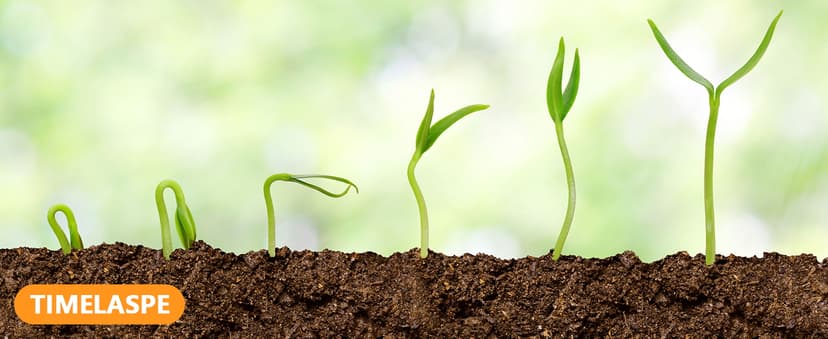 Trail Camera, 60MP Hunting Camera with WiFi, 32GB TF Card, Night Vision, Motion Activated, IP66 Waterproof, 120°Wide-Angle for Deer Scouting or Home Security, APP Control, H.264 MP4 Video