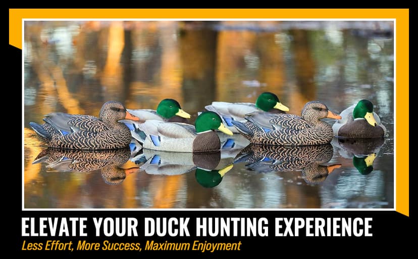Mallard Duck Decoys by Heyday – Ultra-Light 100% HydroFoam | Durable, Realistic Design | 6 Pack of Duck Hunting Decoys