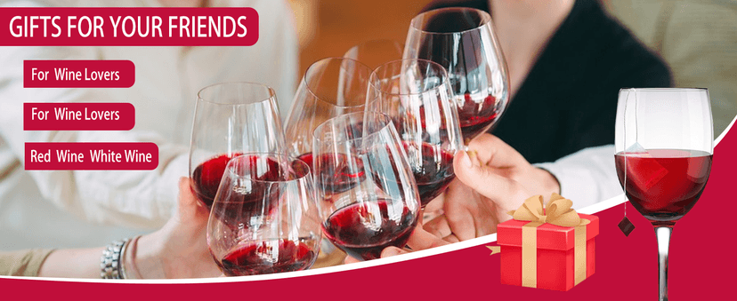 18 Pack Wine Filters, Wine Purifier To Remove Sulfite And Histamine, Wine Lover Accessories Valentine's Day Party Gifts for Men Women Him Mother Father