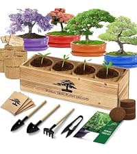 Indoor Herb Garden Kit, Culinary Herb Starter Kit with Seeds & Tools for Beginners, Kitchen Decor, House Warming Gifts for New Home, for Christmas, Ultimate Birthday Gifts for Women Men Mom Dad B0GR93MPX1