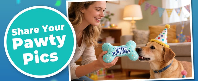 PrimePets Dog Birthday Toys, Plush Dog Squeaky Toys, Stuffed Puppy Chew Toy for Small Medium Large Dogs, Bone Pet Toy B09C5RZ8DT
