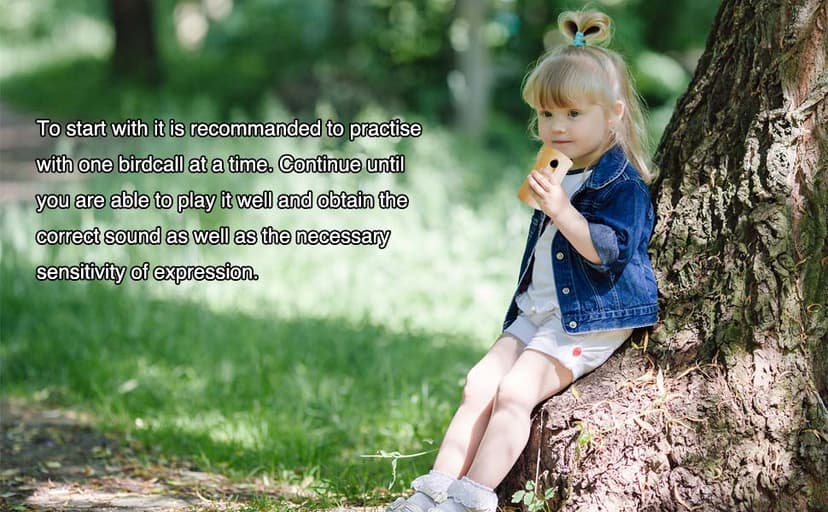 ZDH 9-Piece Wooden Bird Call Set – Handcrafted Bird-Call in Acrylic Wooden Box for Birdwatchers, Nature Lovers, Outdoor Exploration & Education All