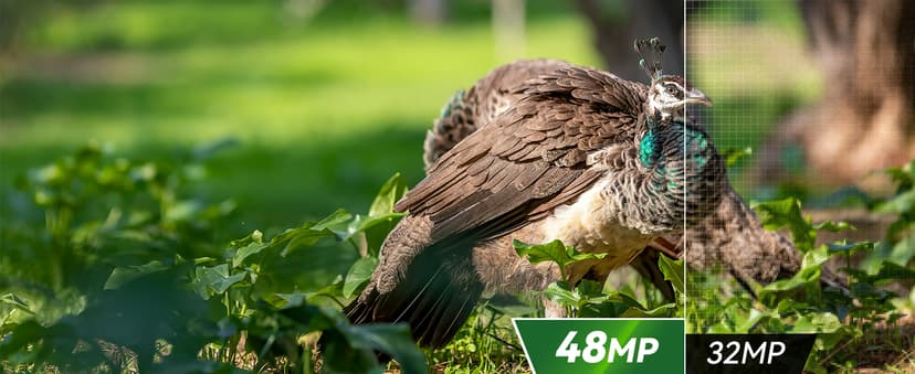 DEATTI Trail Camera 48MP 4K Game Camera with 8 Batteries 32GB SD Card,WiFi Bluetooth Connection,Trail Cameras with Night Vision Motion Activated Waterproof for Wildlife Deer Outdoor 0.1s Trigger Time