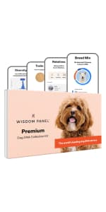 Wisdom Panel Premium Dog DNA Kit: Most Comprehensive with 265+ Health Tests, Identify 365+ Dog Breeds, 50+ Traits, Relatives, Ancestry, Genetic Diversity - Pack of 1