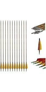 Compound Bow Set for Adults and Beginners, Adjustable 30-55 Lbs Draw Weight, 24"-29.5" Draw Length, up to IBO 310 fps, Archery Bow Set with All Accessories for Hunting Target Shooting Practice