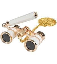 10x50 Binoculars with Dual Independent Eyepiece Adjustment, with BAK4 Prism FMC Lens Low Light Vision & Large View - Professional Binocular for Bird Watching Hunting Stargazing Sports Travel