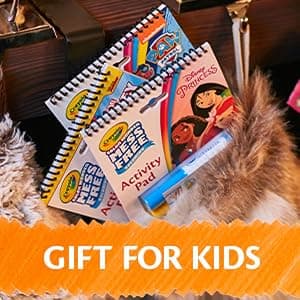 Crayola Color Wonder Magic Light Brush, Mess Free Painting Station for Kids, Gift for Kids, Toddler Toys & Activities, Ages 3, 4, 5